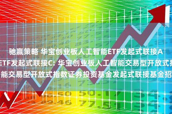 驰赢策略 华宝创业板人工智能ETF发起式联接A,华宝创业板人工智能ETF发起式联接C: 华宝创业板人工智能交易型开放式指数证券投资基金发起式联接基金招募说明书更新