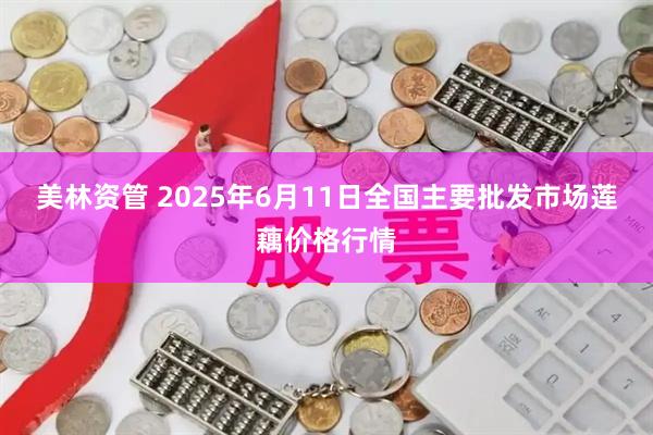 美林资管 2025年6月11日全国主要批发市场莲藕价格行情