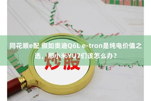同花顺e配 假如奥迪Q6L e-tron是纯电价值之选，那小米YU7们该怎么办？